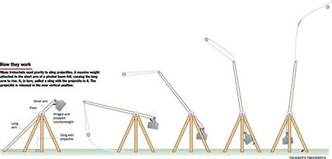 Best Trebuchet Project