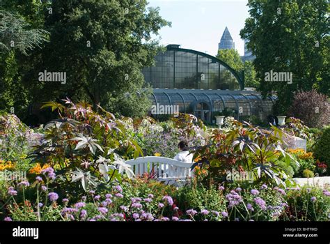 Palmengarten, botanical garden in Frankfurt, Tropicarium and skyline of ...