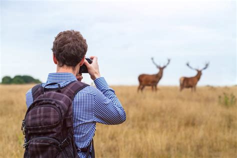 What's the Best Camera for Wildlife Photography in 2024? - Nature TTL