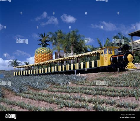 Australia the big pineapple hi-res stock photography and images - Alamy