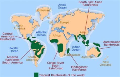 Location & Introduction - The Congo Rainforest