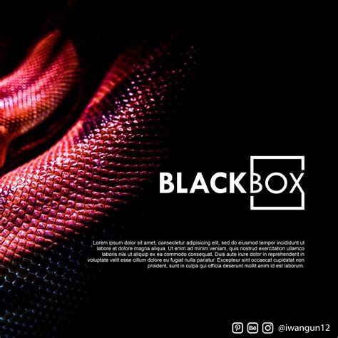 Black Box Logo on Behance