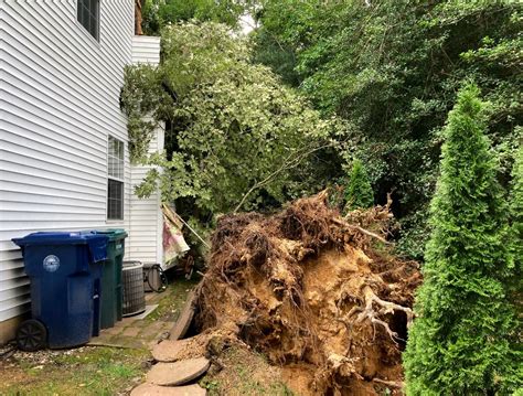 Tornadoes hit N.J. overnight during Tropical Storm Elsa: officials ...