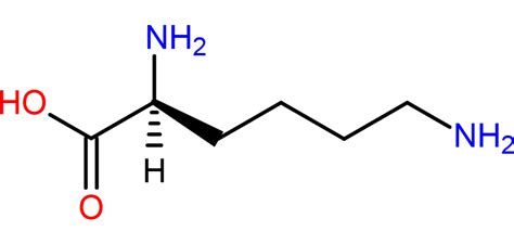 Lysine Structure - Science Notes and Projects