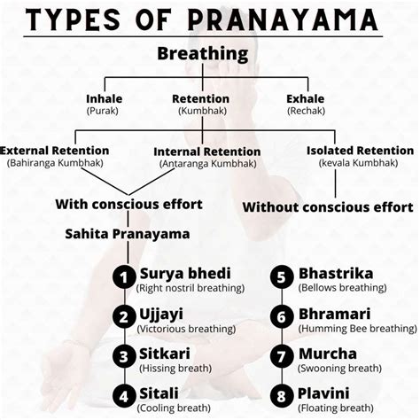 Power of Breathing: 5 Pranayama Worth Practicing every day | by ...