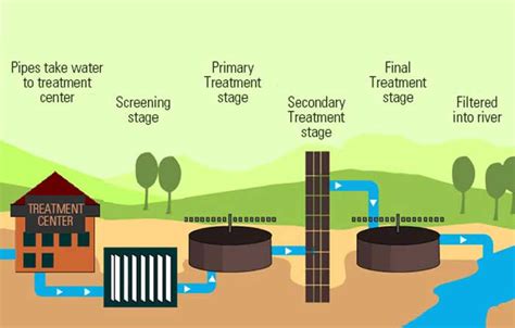 How Does a Sewage Treatment Plant Work?