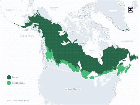 A map of the North American boreal zone by z creative labs on Dribbble