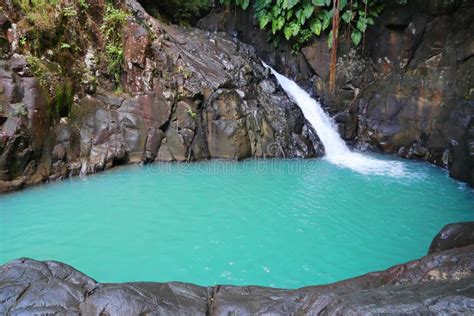 Hidden Waterfall in Guadeloupe Stock Image - Image of guadeloupe ...