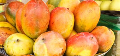 Is African Mango Good for Weight Loss (or Another Myth)?