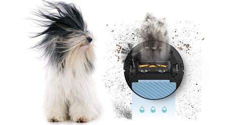 The Best Robot Vacuums for Pet Hair: Our 2023 Reviews and Ratings