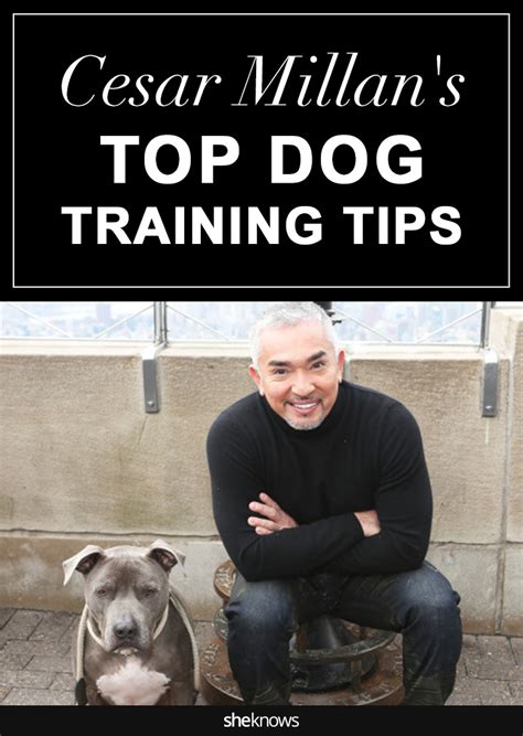 Cesar Millan Gives Us Some of His Most Surprising & Effective Dog ...