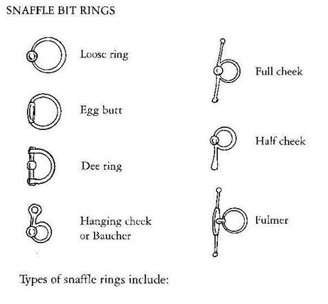 Horse Bit Severity Chart - coolffiles