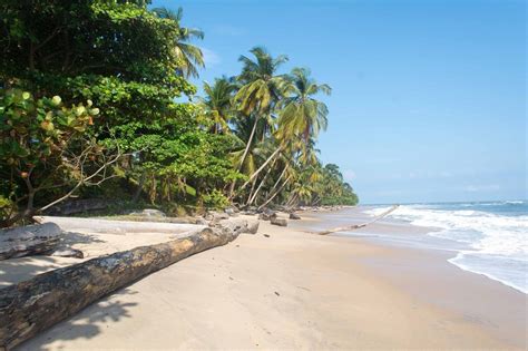 THE BEST Libreville Beaches (Updated 2024) - Tripadvisor