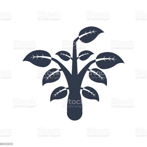 Plant Icon Vector Sign And Symbol Isolated On White Background Plant ...