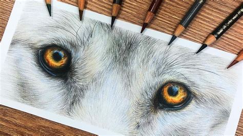 How To Draw WOLF EYES in COLORED PENCIL | Drawing Tutorial - YouTube