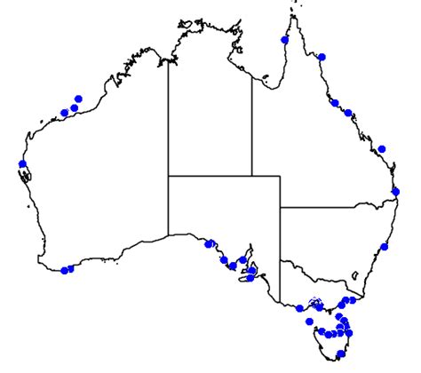 Habitat and Geography-Blue-Ringed Octopus