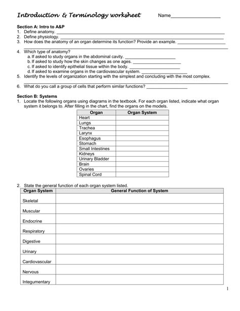 worksheet. Levels Of Organization Worksheet. Grass Fedjp Worksheet ...