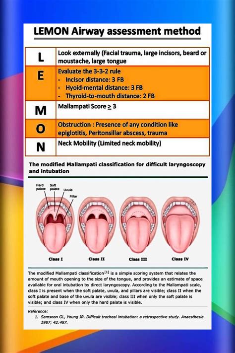 Airway assessment | Assessment, Medical school essentials, Medical ...