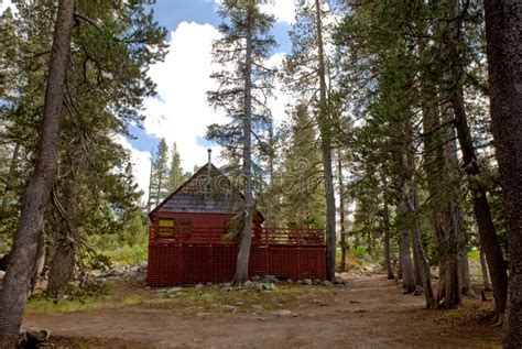 Secluded cabin in forest stock photo. Image of trees, cloudscape - 7389584