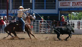 Clay O'Brien Cooper | Rodeo time, Team roping, Cowboy and cowgirl