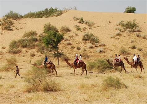 Desert / Camel Safari Jodhpur | Namaste Rajasthan