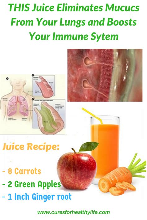 Phlegm and mucus, while gross, can be a huge part of keeping your body ...