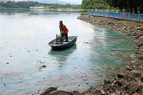 Fishing not allowed at polluted Kepong Metropolitan Park lake | The Star