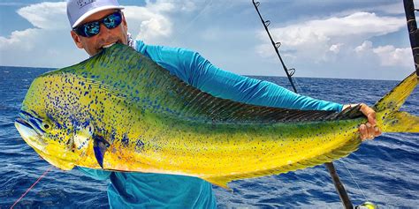 Salt Life | Mahi Mahi | Dorado Fishing | Salt Life