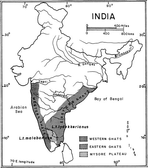 Western Ghats and Eastern Ghats of India - Key Facts for UPSC!