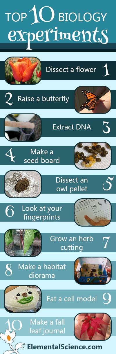 Top 10 Biology Experiments You Don't Want to Miss