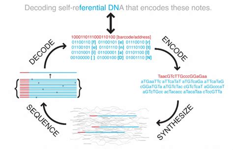 Harvard cracks DNA storage, crams 700 terabytes of data into a single ...