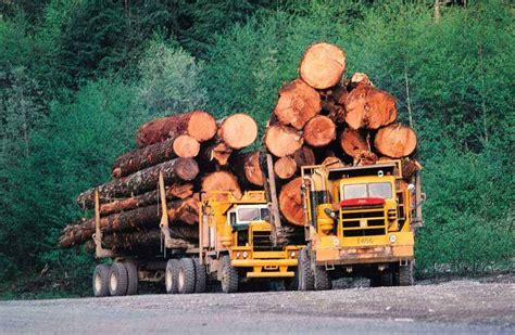 Facebook | Logging trucks, Big trucks, Logging equipment