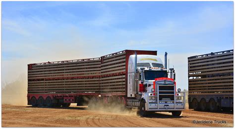 Livestock Trucks Australia - Livestock Cattle