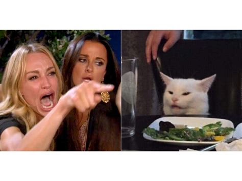 Woman Yelling At Cat Meme Template