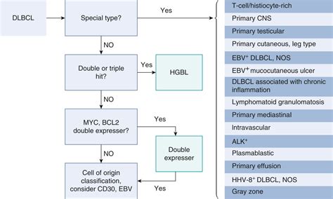 Indolent and Aggressive B-Cell Lymphoma | Oncohema Key