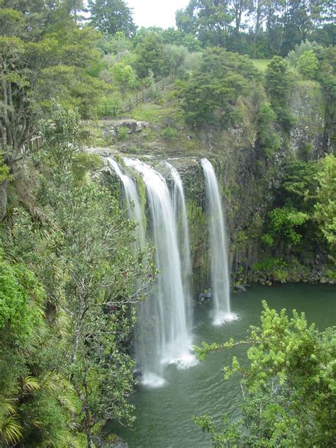 Whangarei Falls - Waterfall in a Suburban Park in Whangarei