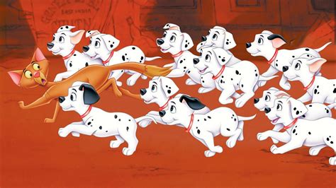 Are There Really 101 Dalmatians