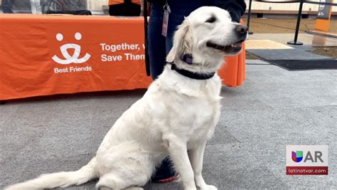 Apertura del nuevo centro de recursos para mascotas de Best Friends ...