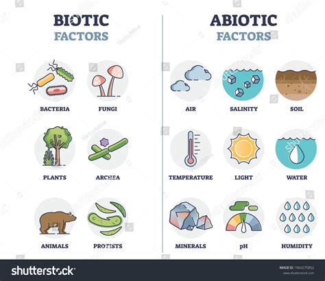 6,028 Biotics 图片、库存照片和矢量图 | Shutterstock