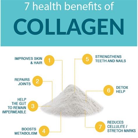 Importance and Benefits of Collagen For Skin - Eshaistic Blog