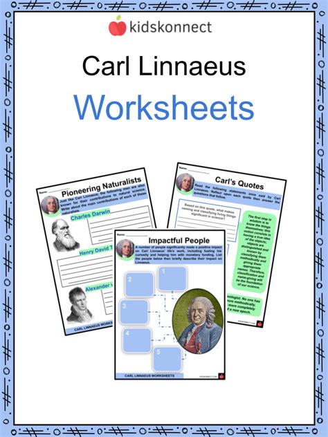 Carl Linnaeus Worksheets | Expeditions, Work, Systema Naturae