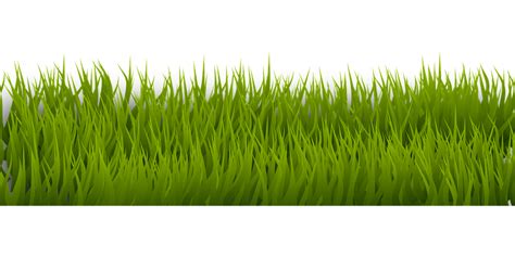 Download Grass, Background, Beautiful Wallpaper. Royalty-Free Vector ...