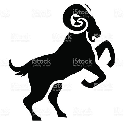 Vector Stylized Ram Illustration Isolated On White Background ...