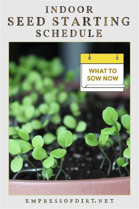 A logical indoor seed starting schedule so your seedlings are ready for ...