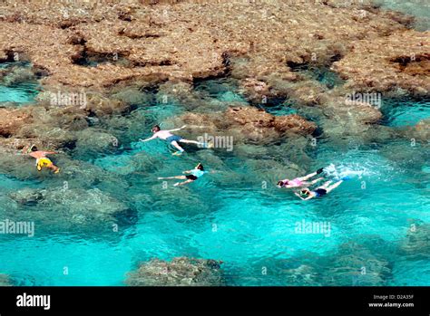 Oahu, Hawaii - People Snorkeling At The Hanauma Bay Coral Reef On The ...