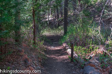 Doane Valley Nature Trail (Palomar Mountain State Park) - Hiking San ...