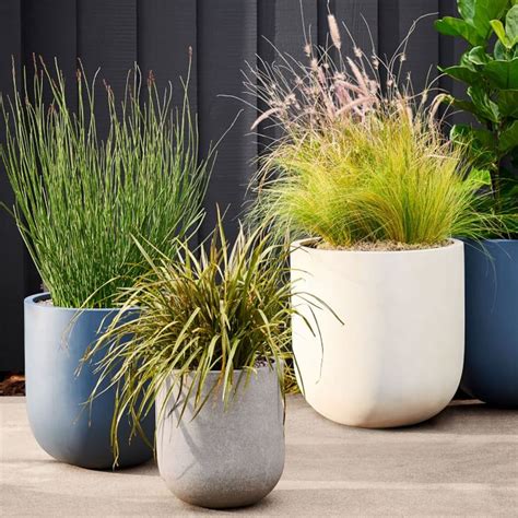 Best Modern Pots and Planters from West Elm | Apartment Therapy