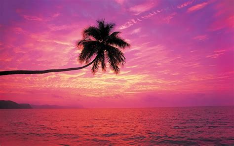 Rainbow sunset beach wallpaper - Beach Wallpapers