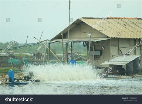 Tambak Udang Lobster Farm Using Waterwheel Stock Photo 1339336229 ...