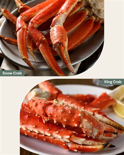 Snow Crab vs. King Crab: What's the Difference? | The Kitchn